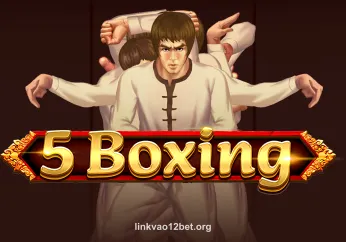 Hình ảnh 5 Boxing tại linkvao12bet